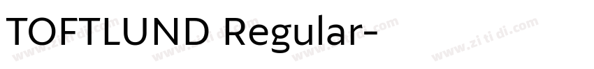 TOFTLUND Regular字体转换